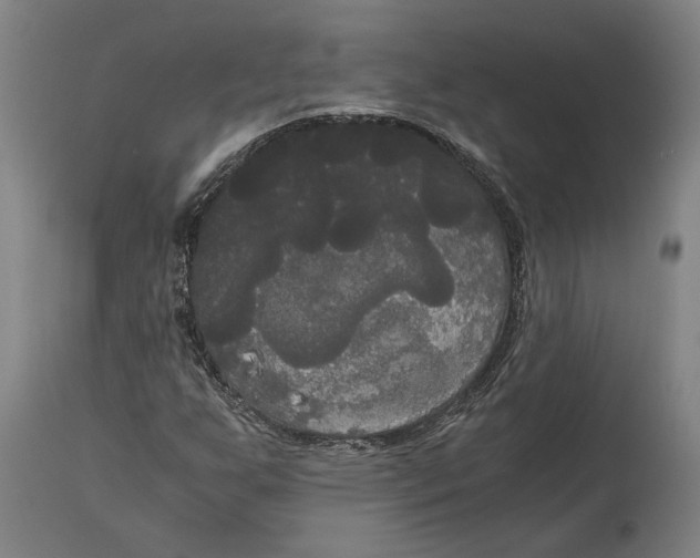 X0000114591255200911161323