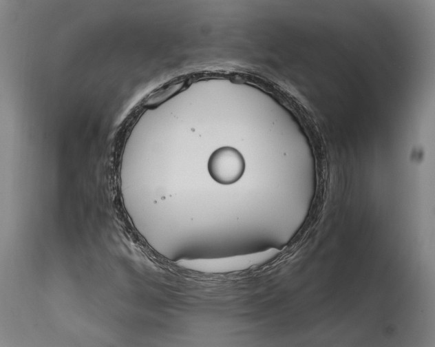 X0000114591256200911161323