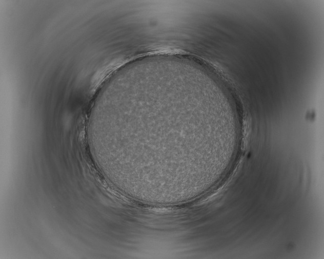 X0000114591257200911161323