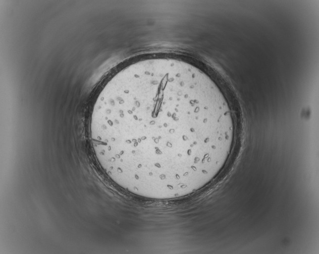 X0000114591259200911161323