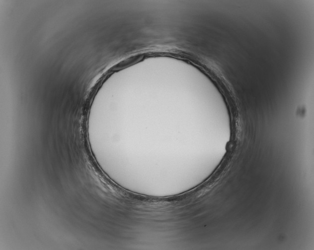 X0000114591260200911161323