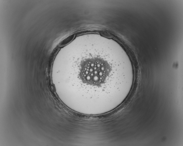 X0000114591261200911161323