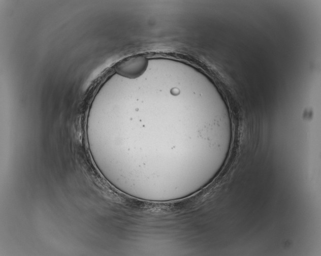 X0000114591262200911161323