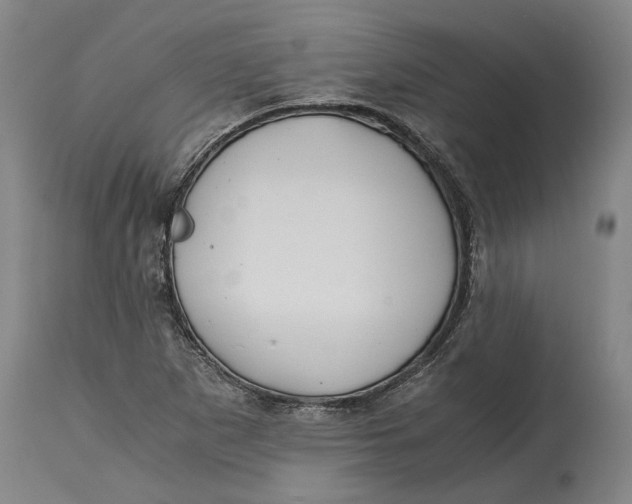 X0000114591265200911161323