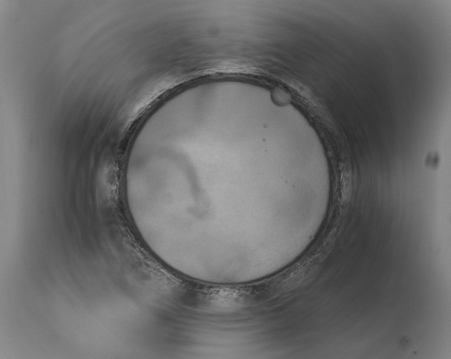 X0000114591266200911161323