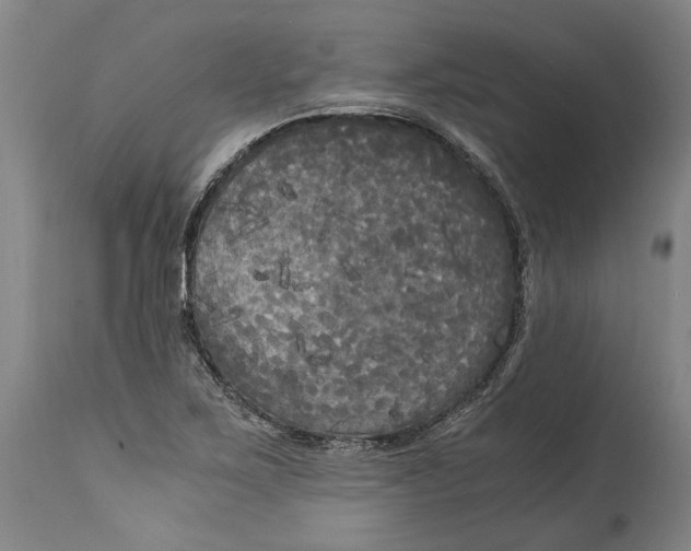 X0000114591267200911161323