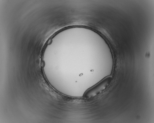 X0000114591268200911161323