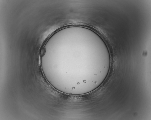 X0000114591269200911161323