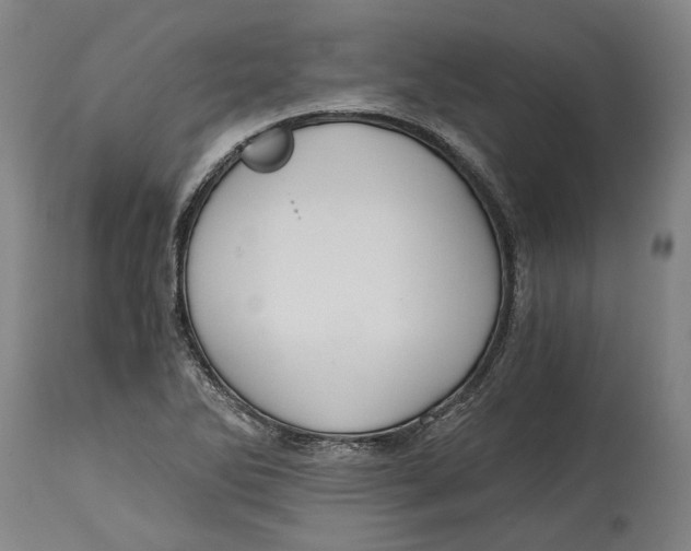 X0000114591270200911161323