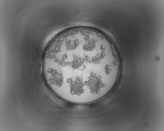 X0000114591271200911161323