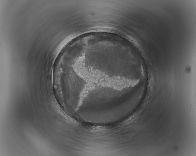 X0000114591275200911161323