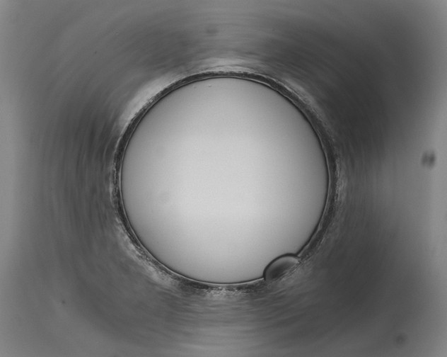 X0000114591277200911161323