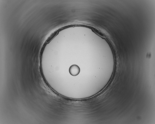 X0000114591280200911161323