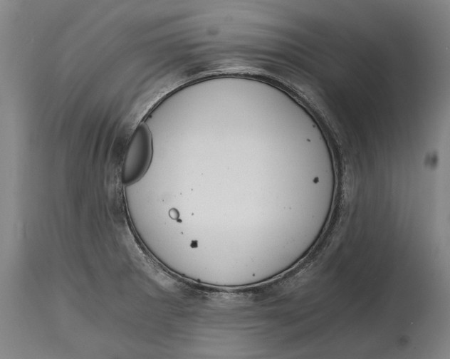 X0000114591281200911161323