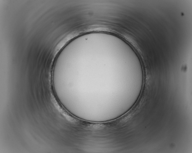 X0000114591282200911161323