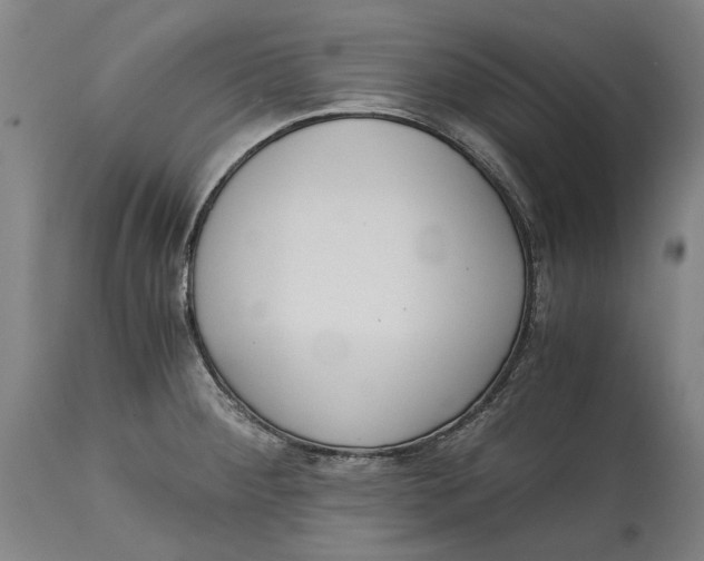 X0000114591284200911161323