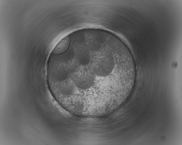 X0000114591287200911161323