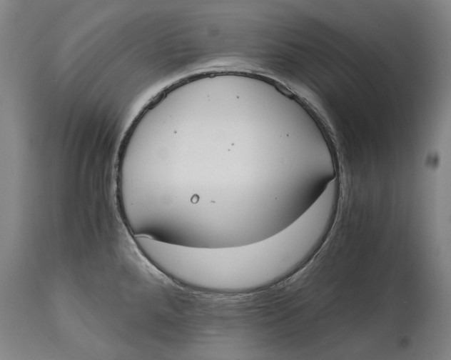 X0000114591288200911161323