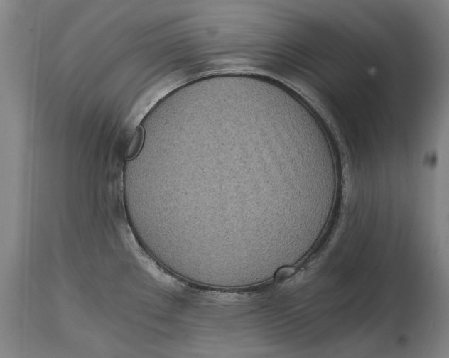 X0000114591289200911161323