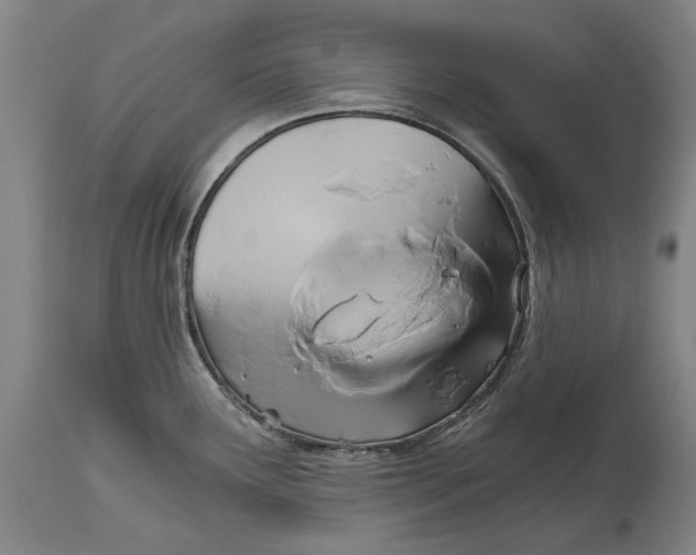 X0000114591291200911161323