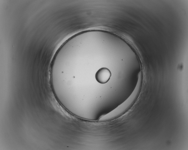 X0000114591292200911161323