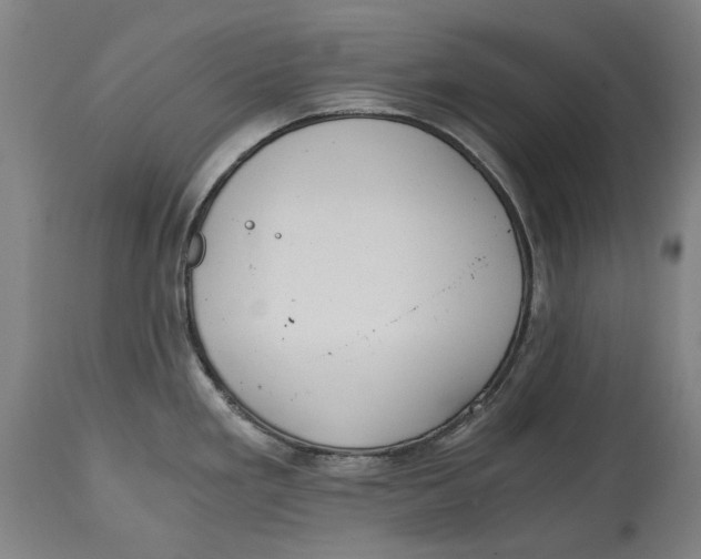 X0000114591293200911161323