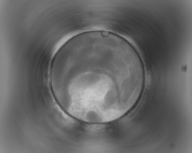 X0000114591294200911161323