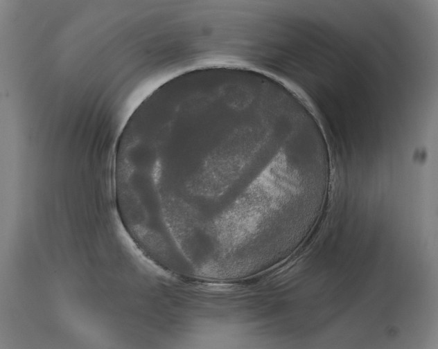 X0000114591295200911161323