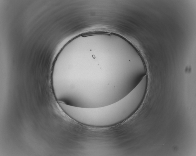 X0000114591296200911161323