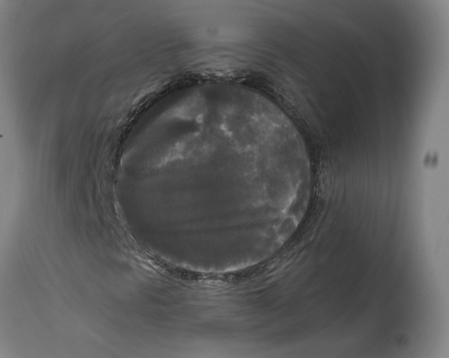 X0000114591297200911161322