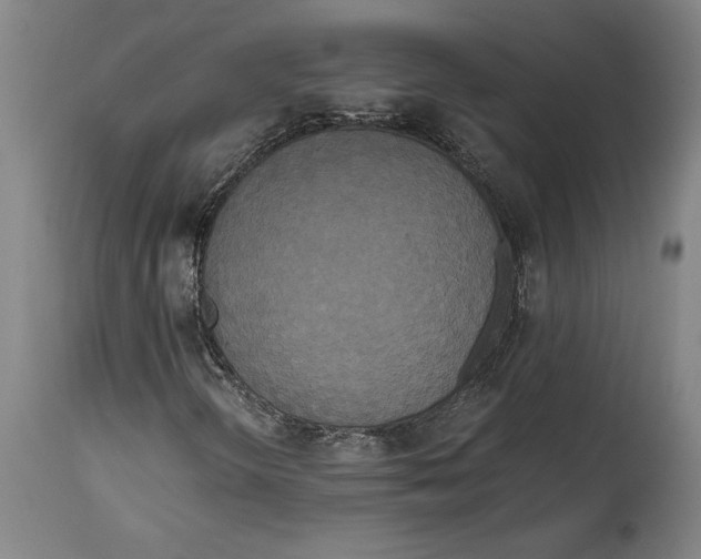 X0000114591298200911161322