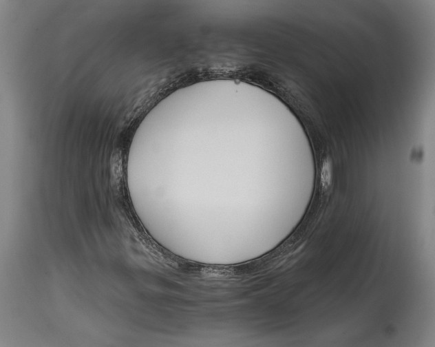 X0000114591299200911161322