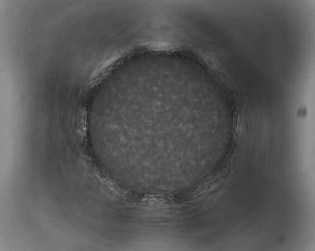 X0000114591301200911161322