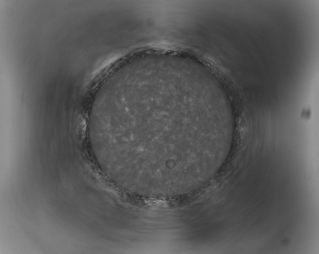 X0000114591302200911161322