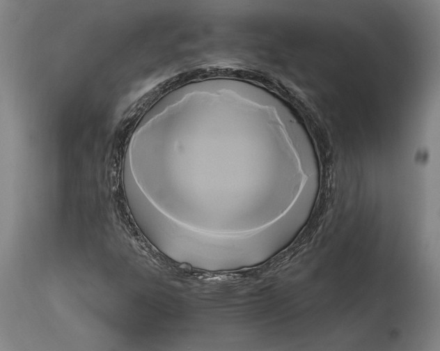 X0000114591303200911161322