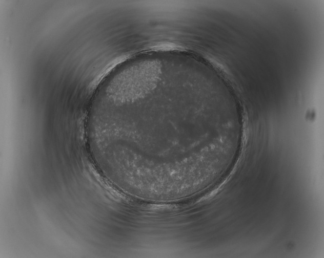 X0000114591305200911161322