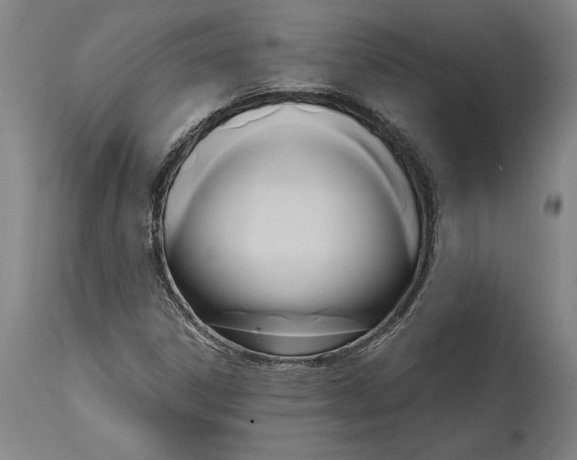 X0000114591306200911161322