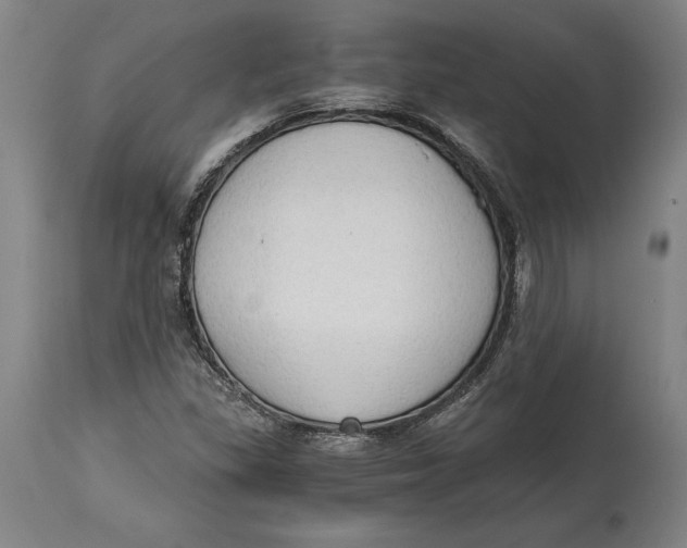 X0000114591309200911161322