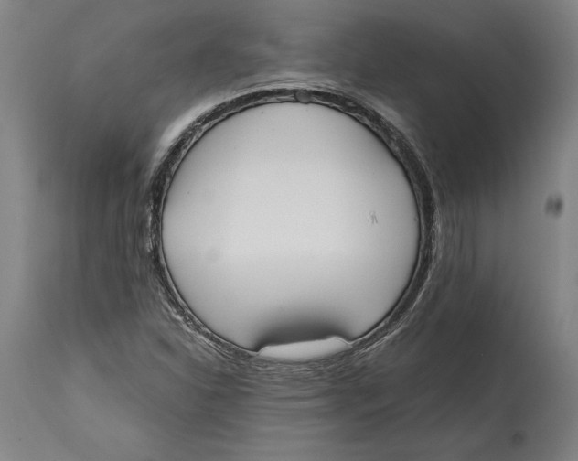 X0000114591310200911161322