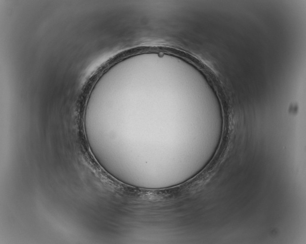 X0000114591311200911161322