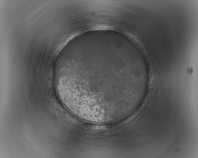 X0000114591313200911161322