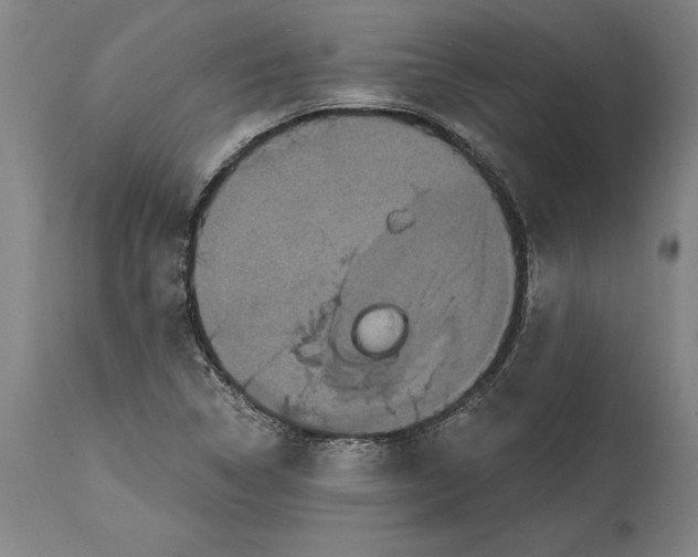 X0000114591314200911161322