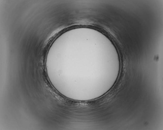 X0000114591315200911161322