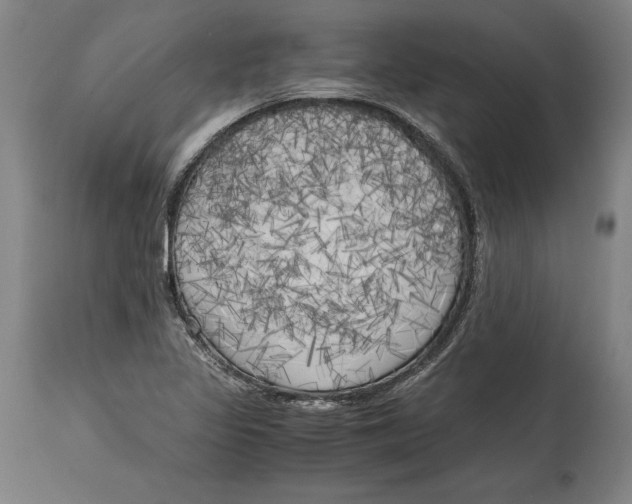 X0000114591317200911161322