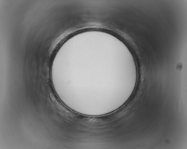 X0000114591318200911161322