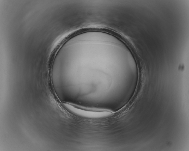 X0000114591319200911161322