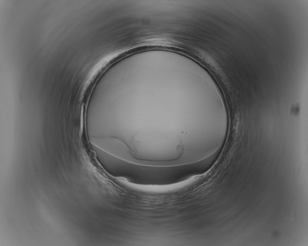 X0000114591323200911161322