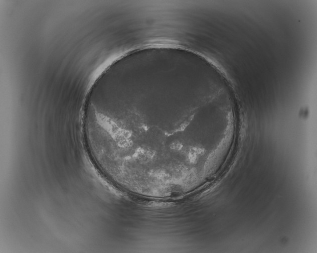 X0000114591325200911161322