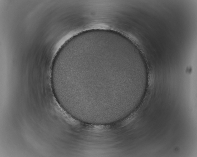 X0000114591326200911161322