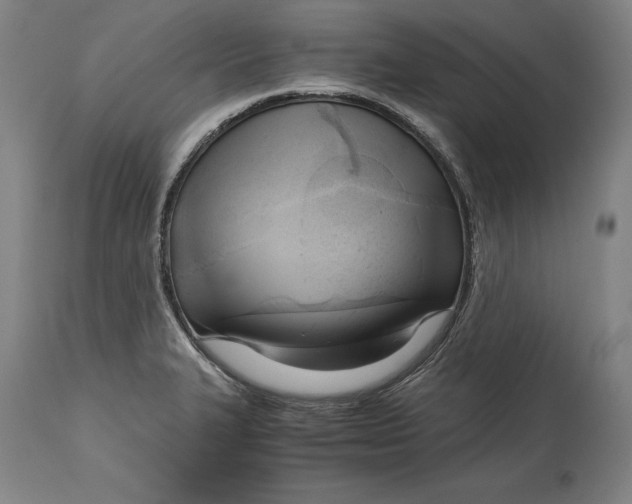 X0000114591327200911161322